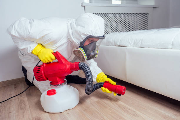 Best Pest Removal Services  in Hrison, AR