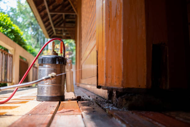 Best Ant Control Services  in Hrison, AR